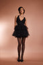 Ashleigh Tulle Lace Mini Dress in Black