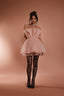 Alexia Tulle Mini Dress in Blush